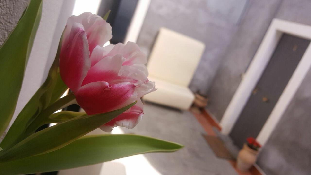 I Cappuccini Rooms Κατάνια Εξωτερικό φωτογραφία